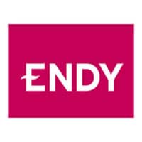 Endy Logo